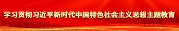 国产骚女好多白浆视频网址学习贯彻习近平新时代中国特色社会主义思想主题教育